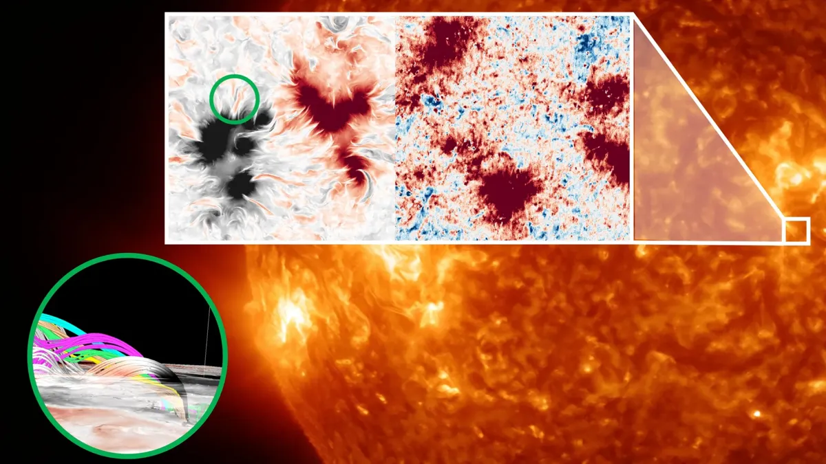 Magnetic fields in the solar chromosphere observed by Sunrise-III SCIP and reproduced in a simulation