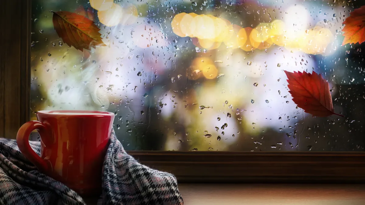 Rainy autumn weather forecast for Ukraine