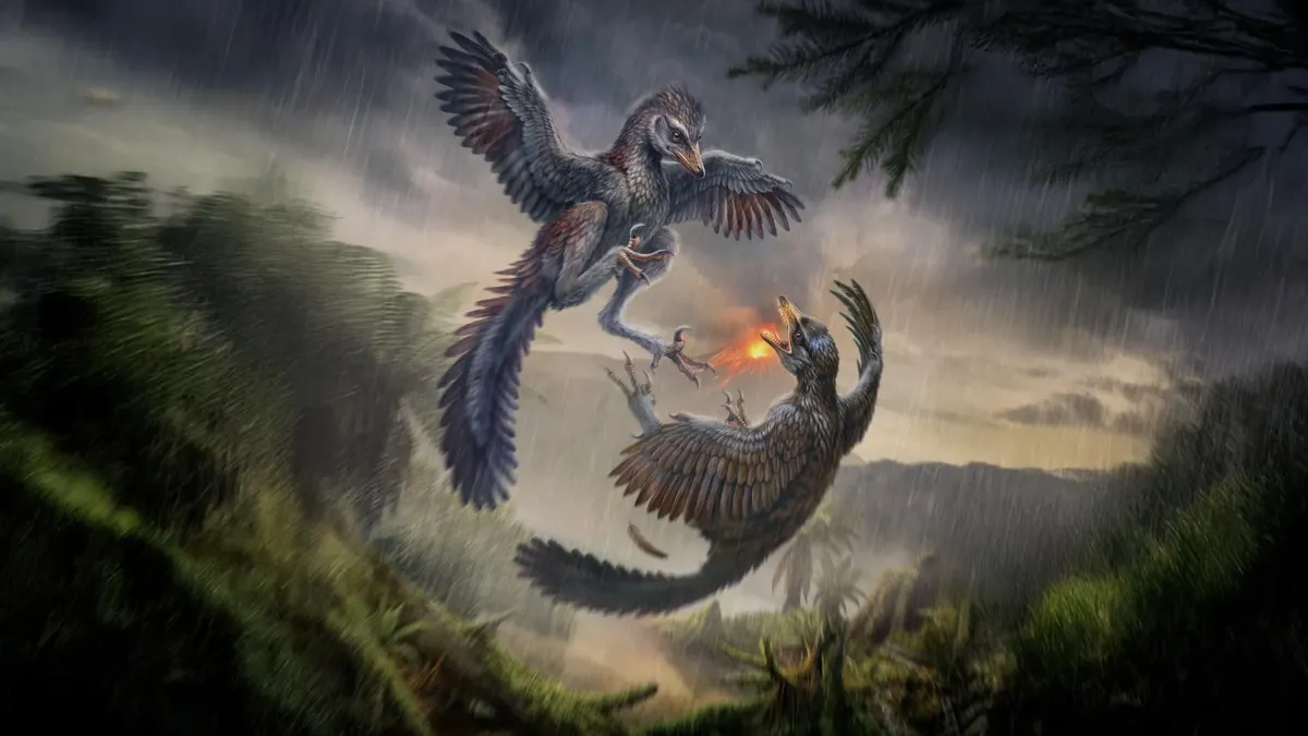 Life reconstruction of Yuezhuornis yangyuanensis, a flightless Late Jurassic bird