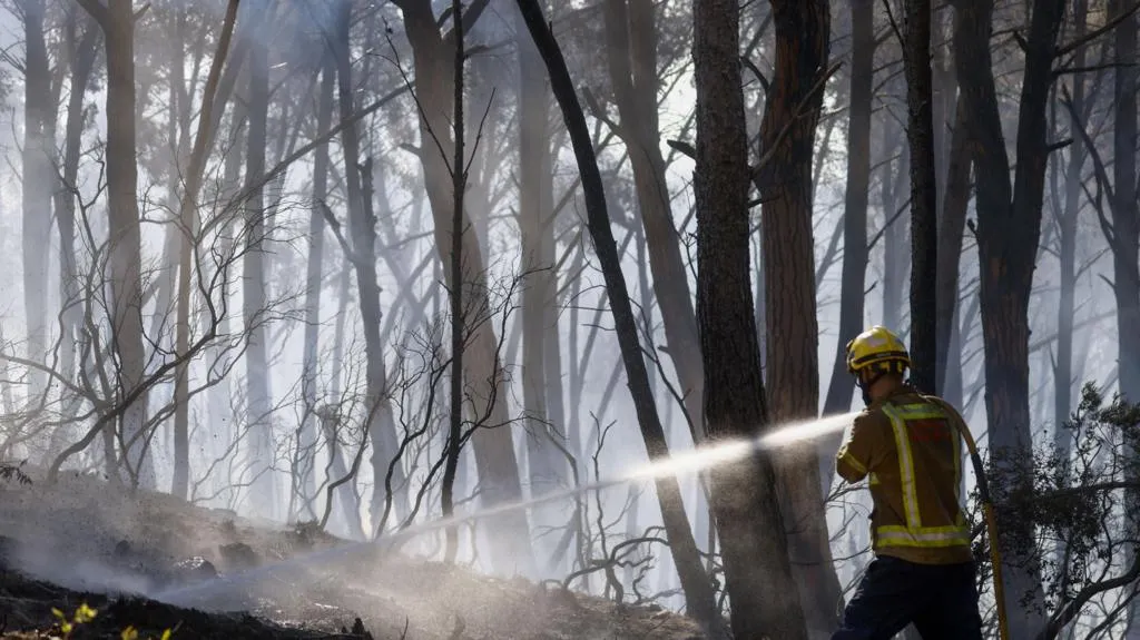 Wildfire in Los Gallardos Almería Spain heatwave