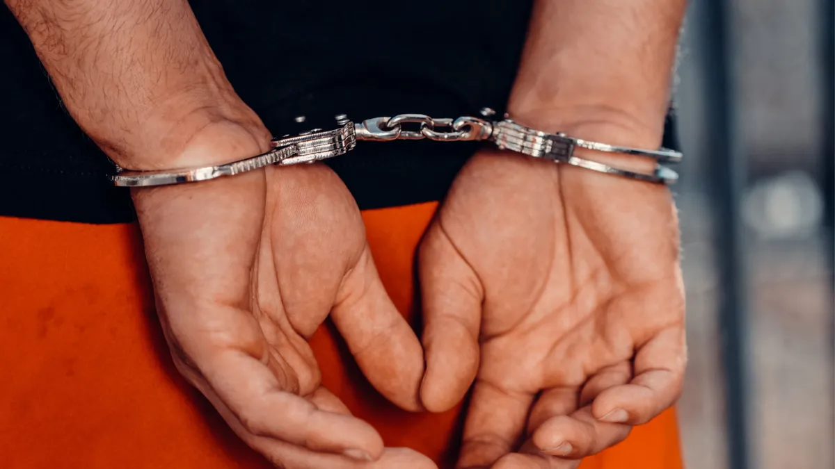German police detain a suspect
